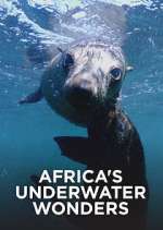 Watch Africa's Underwater Wonders Zoechip