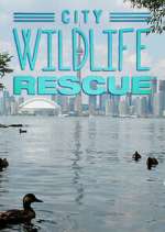 Watch City Wildlife Rescue Zoechip