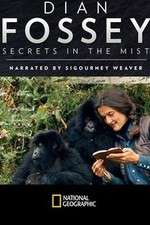 Watch Dian Fossey: Secrets in the Mist Zoechip