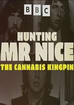 Watch Hunting Mr Nice: The Cannabis Kingpin Zoechip