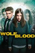 Watch Wolfblood Secrets Zoechip
