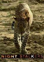 Watch Night Stalkers Zoechip