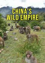Watch China's Wild Empire Zoechip