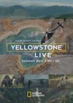 Watch Yellowstone Live Zoechip