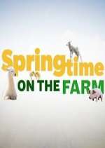 Watch Springtime on the Farm Zoechip