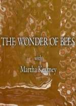 Watch The Wonder of Bees with Martha Kearney Zoechip