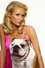 Watch Paris Hilton's British Best Friend Zoechip