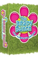 Watch The Brady Bunch Zoechip