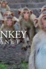 Watch Monkey Planet Zoechip
