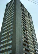 Watch High Times Zoechip