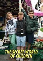 Watch The Secret World of Children Zoechip