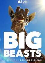 Watch Big Beasts Zoechip
