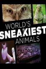 Watch World's Sneakiest Animals Zoechip