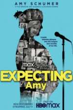 Watch Expecting Amy Zoechip