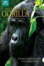 Watch Mountain Gorilla Zoechip