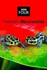 Watch Natures Microworlds Zoechip