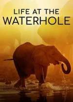 Watch Life at the Waterhole Zoechip