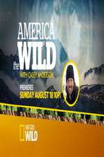 Watch America the Wild Zoechip