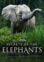 Watch Secrets of the Elephants Zoechip