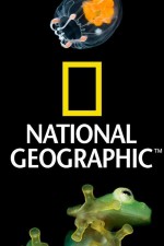 Watch Nat Geo Amazing! Zoechip