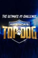 Watch America\'s Top Dog Zoechip