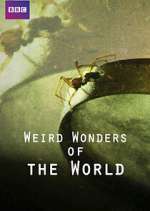 Watch Weird Wonders of the World Zoechip