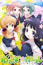 Watch Wakaba Girl Zoechip