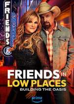 Watch Friends in Low Places Zoechip