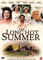 Watch The Long Hot Summer Zoechip