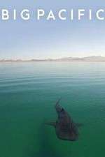 Watch Big Pacific Zoechip