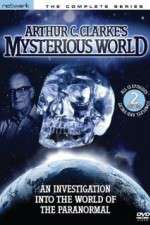 Watch Mysterious World Zoechip