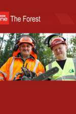 Watch The Forest Zoechip