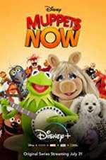 Watch Muppets Now Zoechip