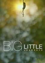 Watch Big Little Journeys Zoechip