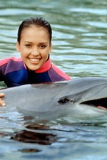 Watch Flipper (The New Adventures of Flipper) Zoechip