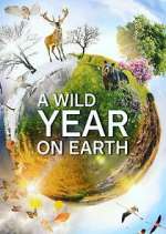 Watch A Wild Year on Earth Zoechip