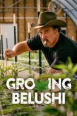 Watch Growing Belushi Zoechip