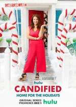 Watch Candified: Home for the Holidays Zoechip