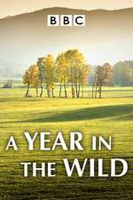 Watch A Year in the Wild Zoechip