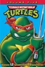Watch Teenage Mutant Ninja Turtles Zoechip