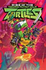 Watch Rise of the Teenage Mutant Ninja Turtles Zoechip