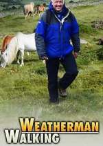 Watch Weatherman Walking Zoechip