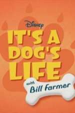 Watch It\'s a Dog\'s Life with Bill Farmer Zoechip