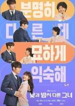 Watch Miss Night and Day Zoechip