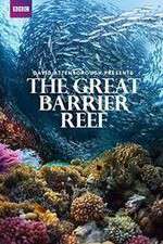 Watch Great Barrier Reef with David Attenborough Zoechip
