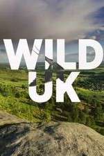 Watch Wild UK Zoechip