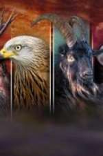 Watch Wales: Land of the Wild Zoechip