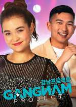 Watch Gangnam Project Zoechip