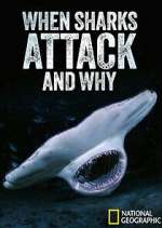 Watch When Sharks Attack... And Why Zoechip