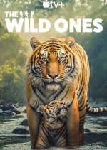 Watch The Wild Ones Zoechip